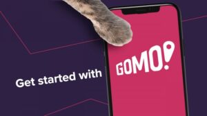 how to load gomo sim